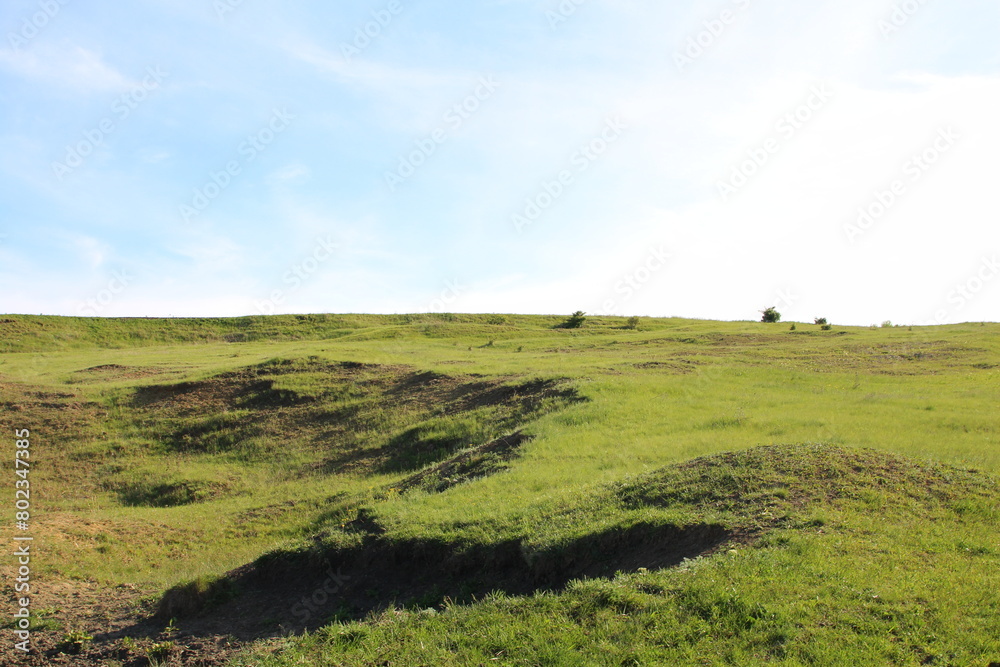 Fototapeta premium A grassy field with a few trees