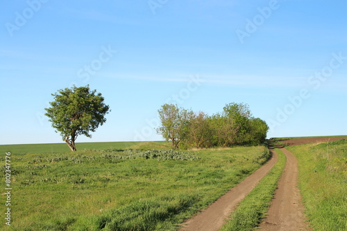 A dirt road through a field