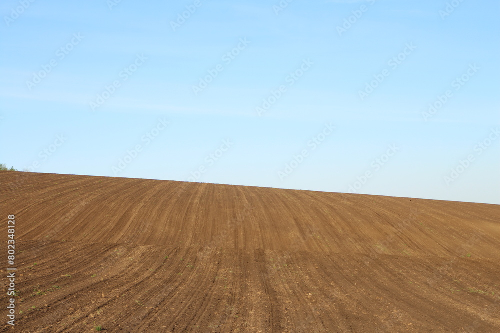A sand dune with blue sky A sand dune with blue sky