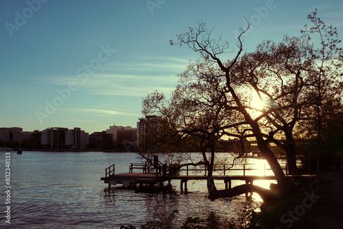 a tree next to a pier during evening