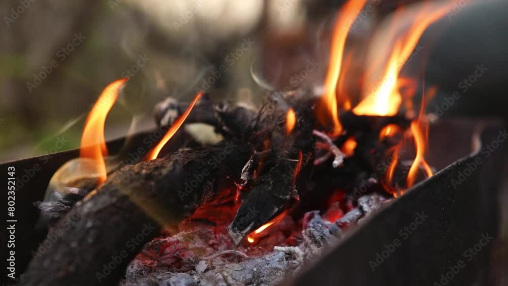 Flames of camp fire in slow motion Flames of camp fire in slow motion
