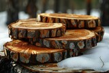 Stacked tree trunks in the winter forest,  Natural background