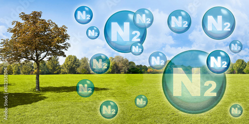 Fotografía Nitrogen the most important fertilizer for the lawn - Concept with nitrogen mole