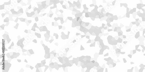 Abstract Beautiful terrazzo flooring marble stone wall texture. Cold gray and white grunge wall texture. White pebble stones wall texture. Terrazzo flooring polished texture .	