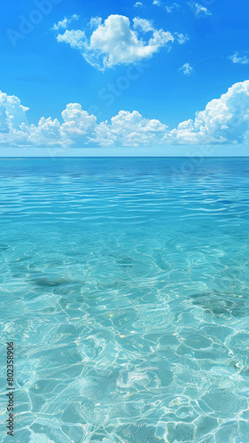 The ocean is calm and clear, with a few clouds in the sky