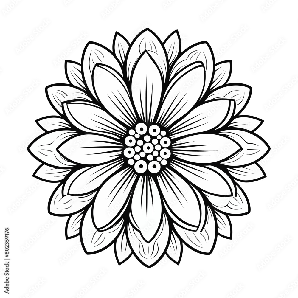 Black and white flower Black and white flower