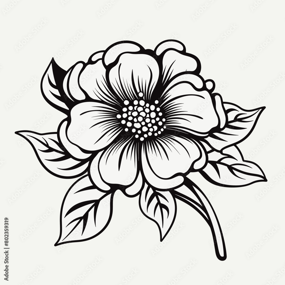 Black and white flower Black and white flower