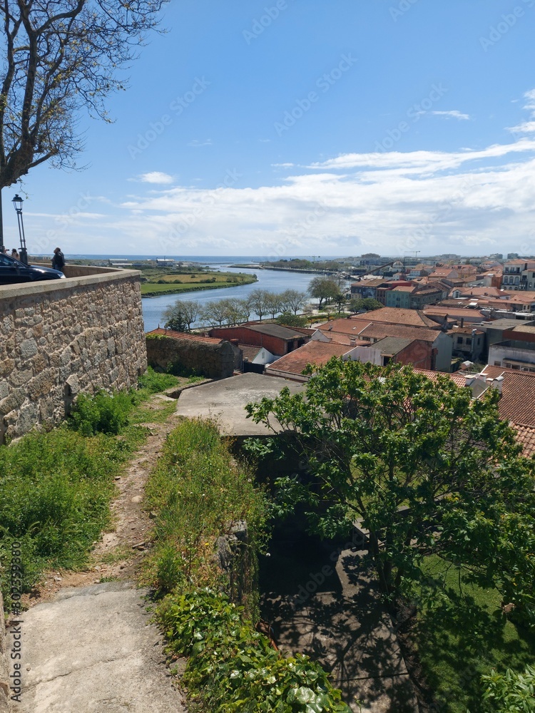 portugal, porto, turismo, verde, jardim, parque, ar livre, natureza, paz, calma, azul, árvores, cidade, norte, europa, vistas, paisagem