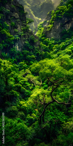 Desenho de uma floresta exuberante com   rvores e plantas diversas