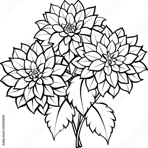 Dahlia Flower Bouquet outline illustration coloring book page design  Dahlia Flower Bouquet black and white line art drawing coloring book pages for children and adults