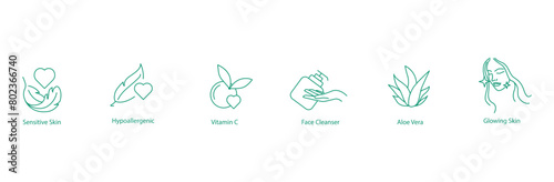 Skincare Essentials Icon Set: Sensitive Skin, Hypoallergenic, Vitamin C, Face Cleanser, Aloe Vera, Glowing Skin