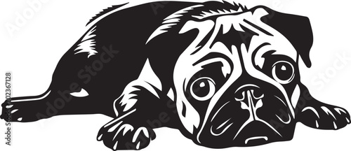 Wallpaper Mural black and white illustration of a pug dog Torontodigital.ca