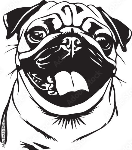 portrait of funny pug dog