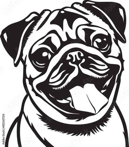 black and white illustration of pug dog © Daria