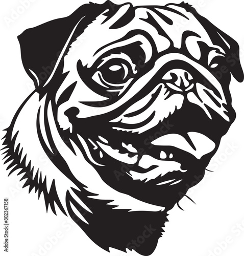 pug dog funny face © Daria