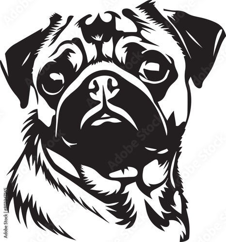 black and white illustration of a pug dog © Daria