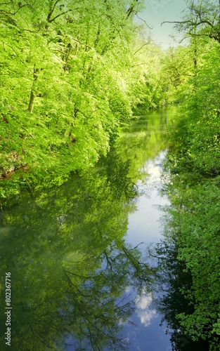 romantischer Blick auf Fluss Nagold im Frühling bei Gegenlicht gesäumt von hellgrünen Bäumen