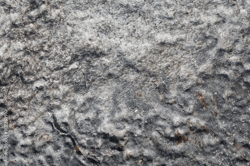 background, roccia, sfondo pietra superficie dura con dettagli di alghe marine secche  photo