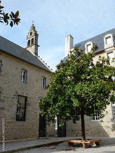 Arbre sur petite place avec maison en pierre à saint-pol-de-léon photo