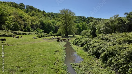 Beautiful scene in the Veio Regional Park, near Formello, Province of Rome, Lazio, Italy.