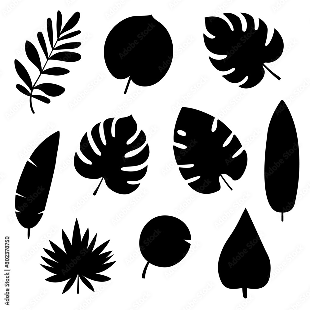 Tropical leaves silhouette set. Black palm and exotic leaves. Vector elements collection.