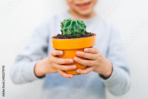 Niño pequeño sostiene un cactus en maceta amarilla  photo