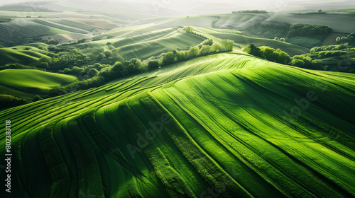 Сalming bird's eye view of pattern on green fields