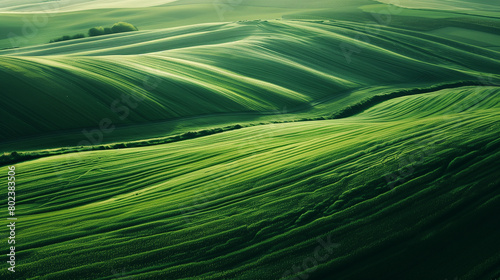 Сalming bird's eye view of pattern on green fields