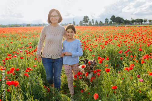 mother and daughter walking in the poppy field with their dog
