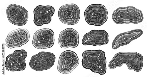 Set of tree stump prints isolated on white. Wooden silhouette. Wood texture with concentric rings. Collection of black and white wooden annual rings textures. Tree ring pattern. Wood in cross section