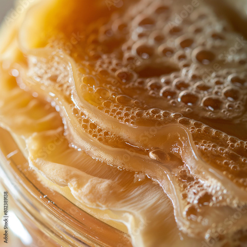 Wallpaper Mural Detailed view of a kombucha SCOBY in a fermentation jar, texture and layers shown in high detail Torontodigital.ca