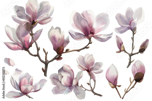 A bunch of flowers hanging on a branch. Suitable for nature and spring concepts