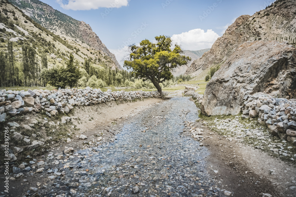 Obraz premium Dusty mountain road in a valley among rocks and vegetation in the Fann Mountains in Tajikistan with mountain ranges, road high in the mountains