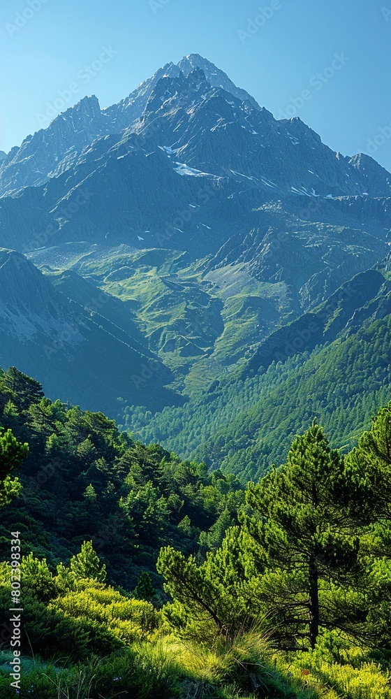 A scenic mountain landscape with room for text in the clear blue sky.Professional photographers perspective A scenic mountain landscape with room for text in the clear blue sky.Professional photographers perspective