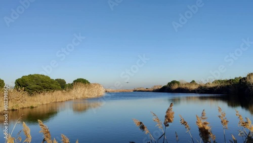 Video in the bird watching area in the natural area of the Llobregat delta with a plane taking off, it has an important ecological and scenic value and near the airport of Barcelona.