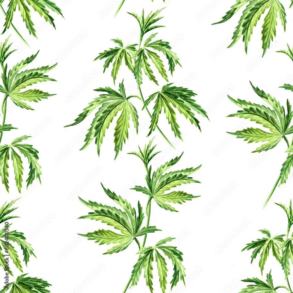 Cannabis leaf. Hand drawn watercolor seamless pattern isolated on white background Cannabis leaf. Hand drawn watercolor seamless pattern isolated on white background