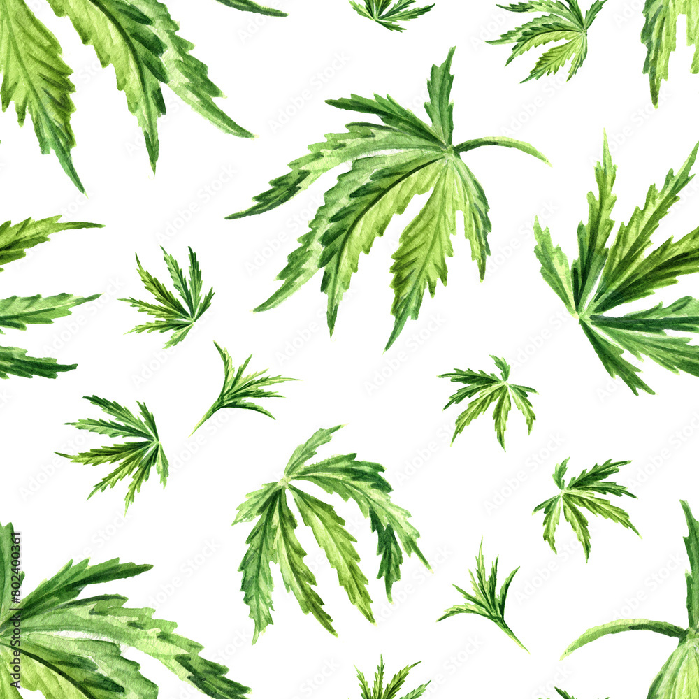 Cannabis leaf. Hand drawn watercolor seamless pattern isolated on white background Cannabis leaf. Hand drawn watercolor seamless pattern isolated on white background