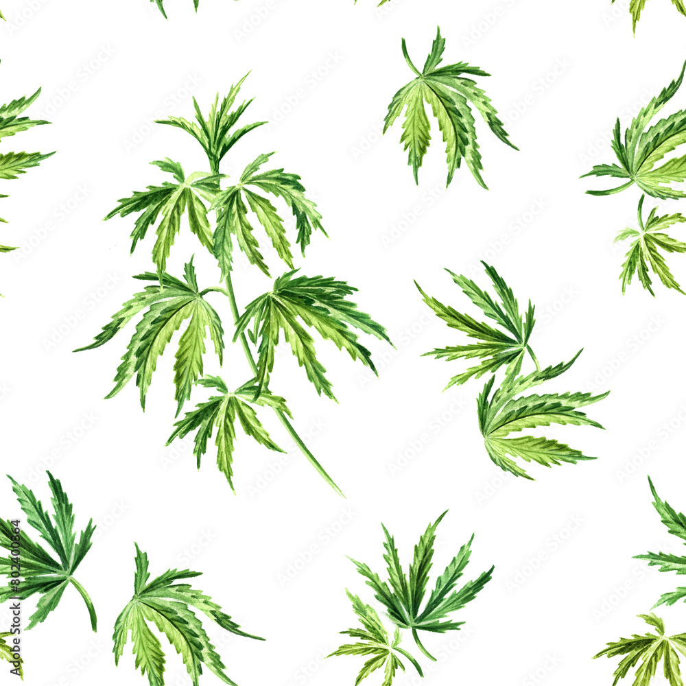 Cannabis leaf. Hand drawn watercolor seamless pattern isolated on white background