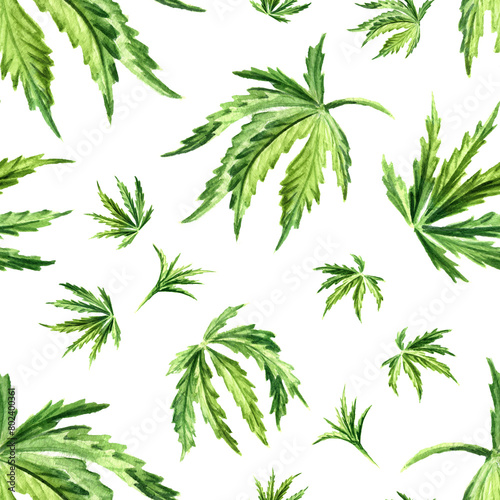 Cannabis leaf. Hand drawn watercolor seamless pattern isolated on white background © dariaustiugova