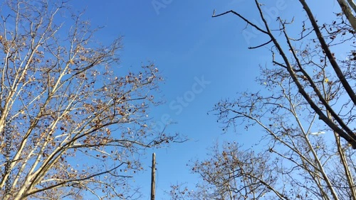 Video of an airplane flying over the Llobregat Delta to land or take off at Prat de Llobregat airport, Catalonia, Spain.
