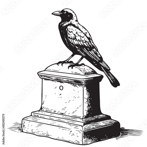 Black raven on tombston sketch hand drawn in doodle style Vector illustration Cartoon