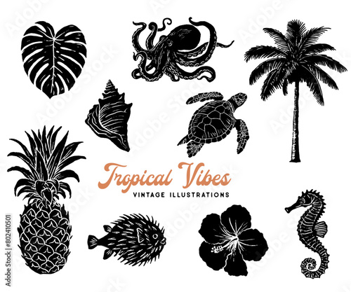 Tropical Illustrations