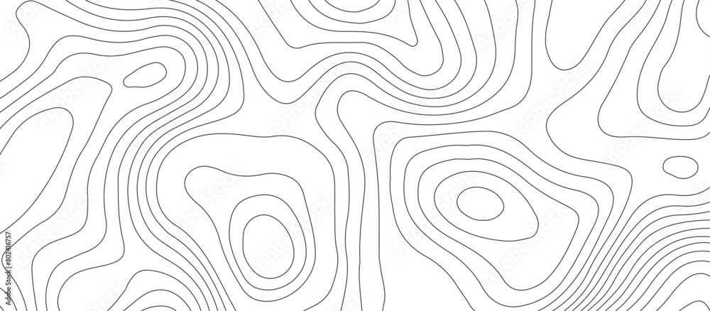 Fototapeta premium White background topography contour map with black curve lines .luxury topographic wavy pattern and geographic grid map design .