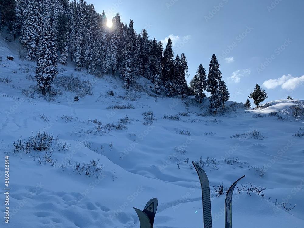 Fototapeta premium winter landscape in the mountains