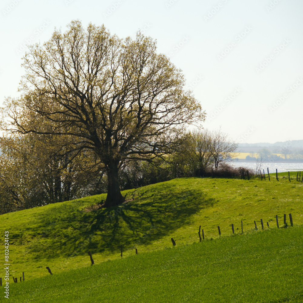 Obraz premium Schlei