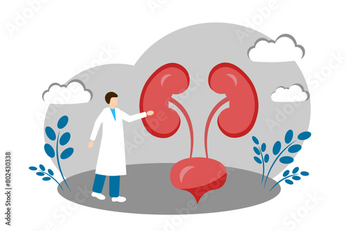 A urologist treats the kidneys. Anatomy ,Medicine