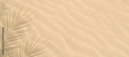Fototapeta samoprzylepna Palm tree leaf shadow on sand background, Natural shadow from tropical coconut palm leaves on beach sand. top view, copy space. Summer vacation concept. Mockup for product or travel background