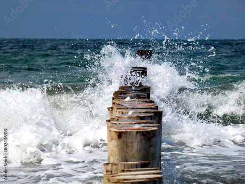 The Baltic Sea beach of Markgrafenheide near Rostock (Germany) photo