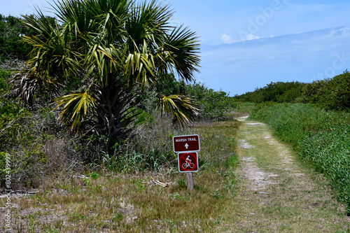 Marshland trail at Florida, USA