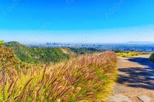 Los Angeles Through Greenery  Hollywood Sign s Hillside View